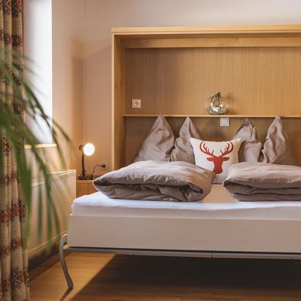 App_2_ausklapbares_Bett_Wohnbereich