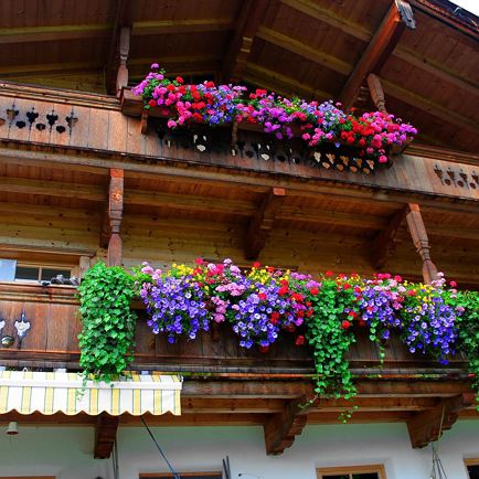 Bauernhof Farnreit