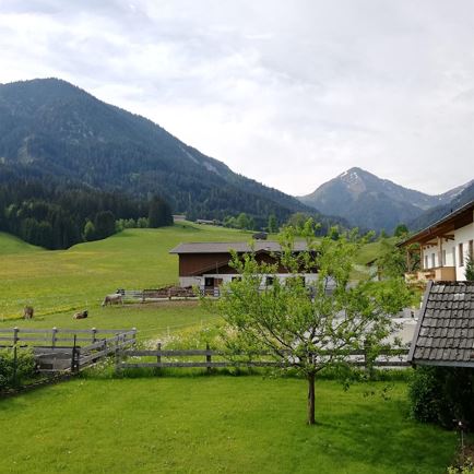 Aussicht1