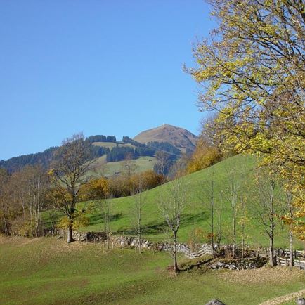 Blick auf die Hohe Salve Sommer