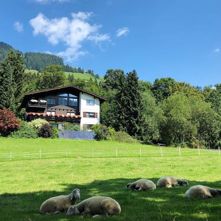 Hausansicht Sommer 1