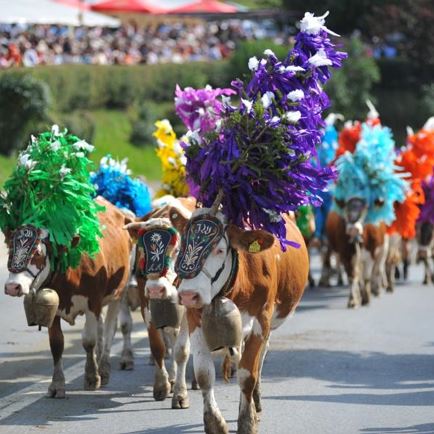 Almabtrieb September