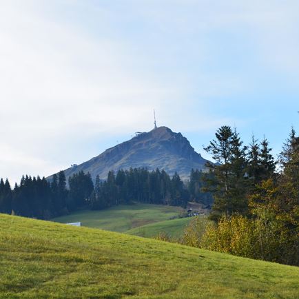 Kitzbüheler Horn Sommer