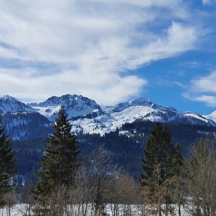 Blick Süd