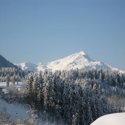 Blick auf das Kitzbüheler Horn