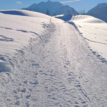 WP_20190206_09_40_30_Rich_aufgehellt_zugeschnitten