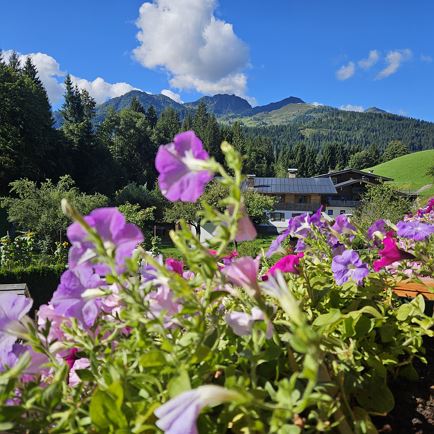 Aussicht vom Balkon