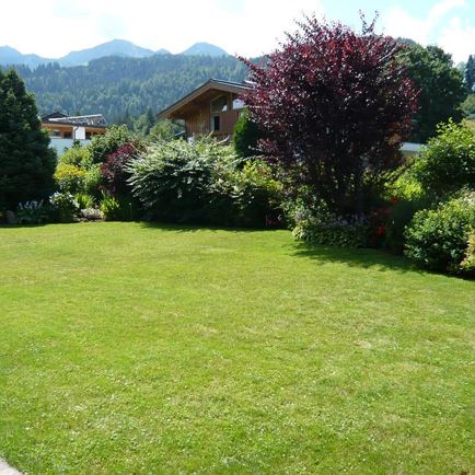 Blick in den Garten