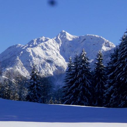 Blick zum Spielberg (c) Marion Pichler