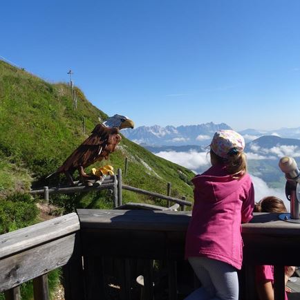 Herbstferien (2 Erw. u. 1-3 Kinder) inkl. Liftpass