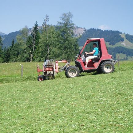 Zeilen machen für die Silage
