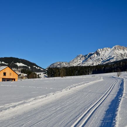 Haus mit Loipe