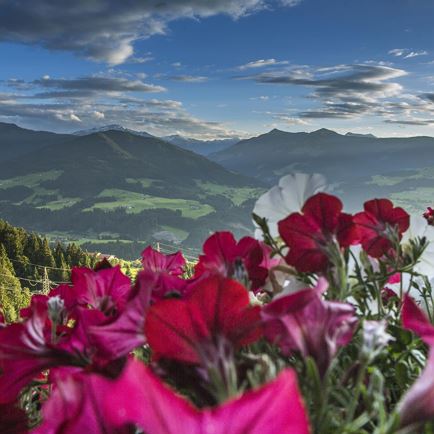 Unsere Aussicht...