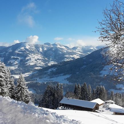 Panorama