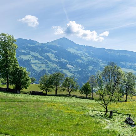Aussicht