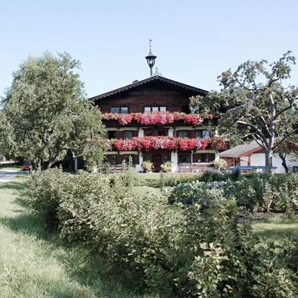 Hausansicht Sommer
