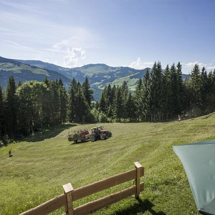 Ausblick