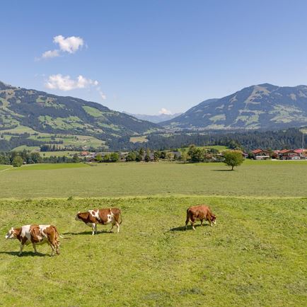 Ausblick