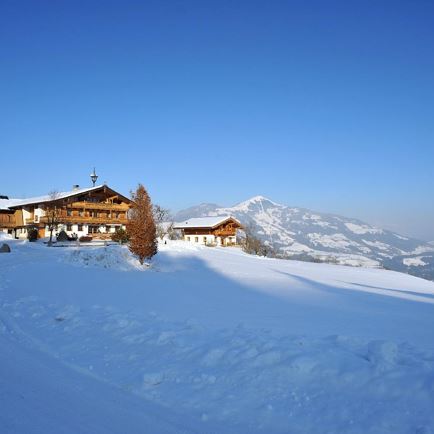 Sammerbauer Winter Header