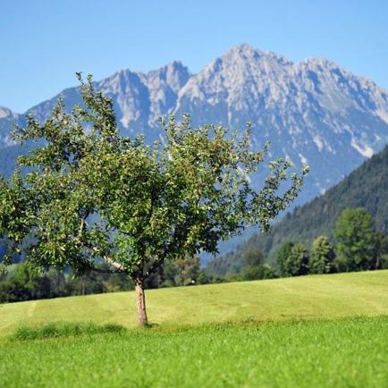 Blick zum Kaisergebirge