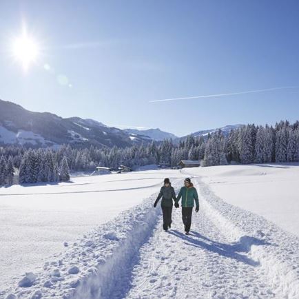 thumb-Winterwandern-am-Penningberg-5