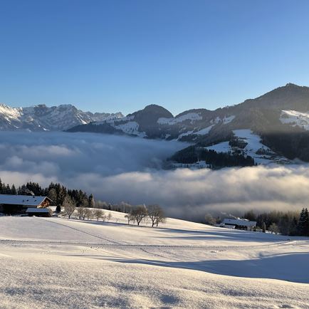 Blick auf den Wilden Kaiser und die Hohe Salve