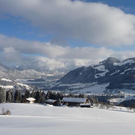 Blick aus der Ferienwohnung