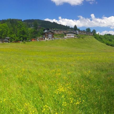 Apartment-Ferienhaus Weinberg