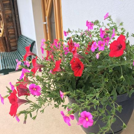 Ferienwohnung Herrenlehen