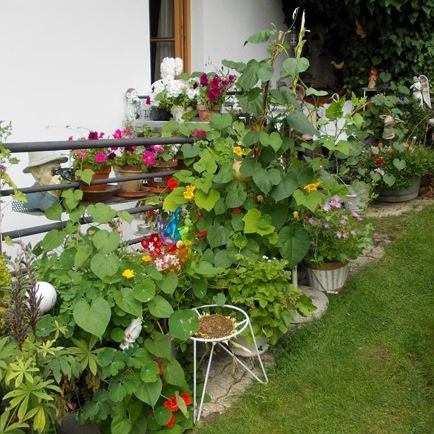 Garten