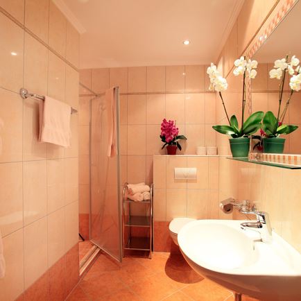 Appartement-Obergausberg-Kogler-Rupert-Gausbergweg