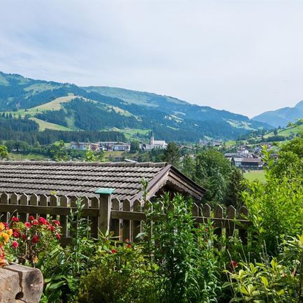 Ausblick