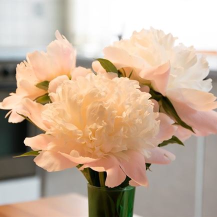 Blumendeco