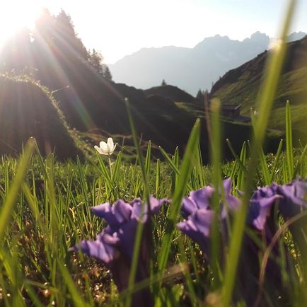 Abendstimmung Kitzbüheler Horn