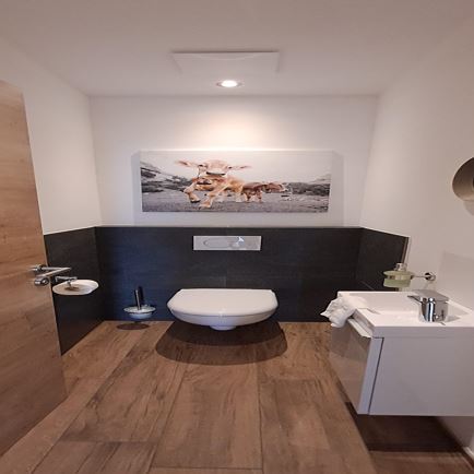 Appartement Hahnenkamm Filzerhof