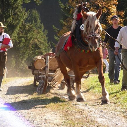 Flora bei der Arbeit