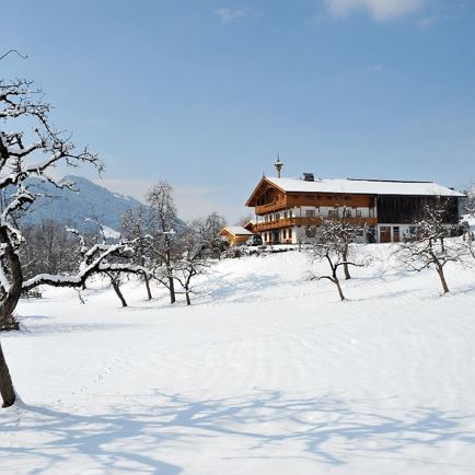 Stegerbauer Winter