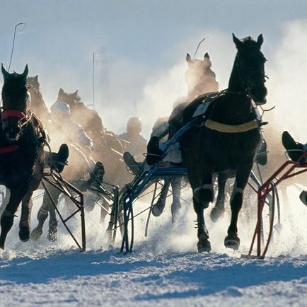 Pferderennen (c) Archiv TVB Kitzbüheler Alpen