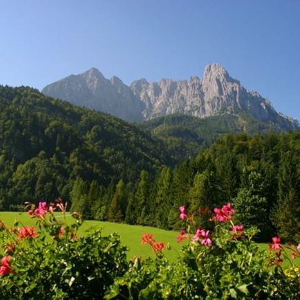 Ausblick im Sommer