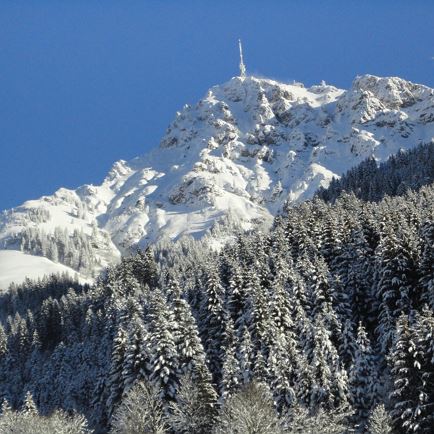 Kitzbühler Horn