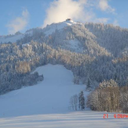 Buchensteinwand