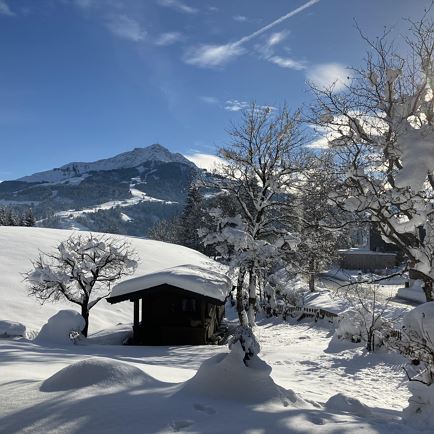 Kitzbüheler Horn im Winter
