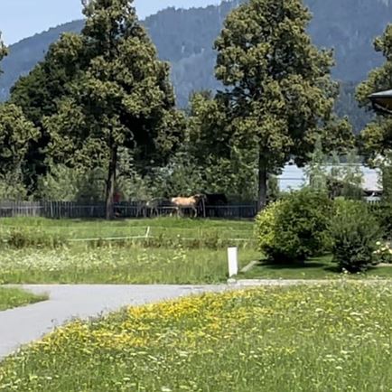 Ausblick Garten 2