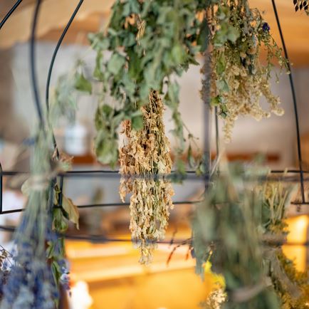 Shop Detail