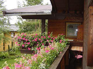 Blumige Aussichten