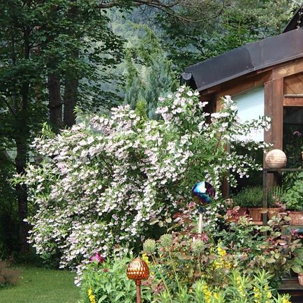 Gartenimpressionen