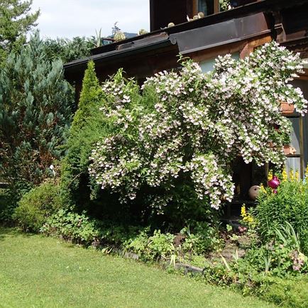 Gartenimpressionen