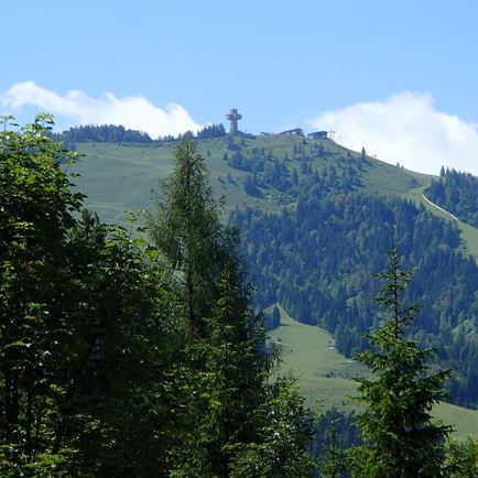 Gartenimpressionen