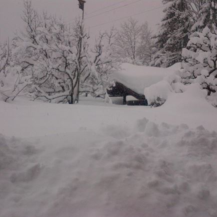 winterbid2