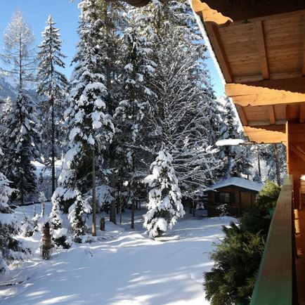 Gartenansicht / Winter